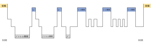 睡眠サイクルを示す図表